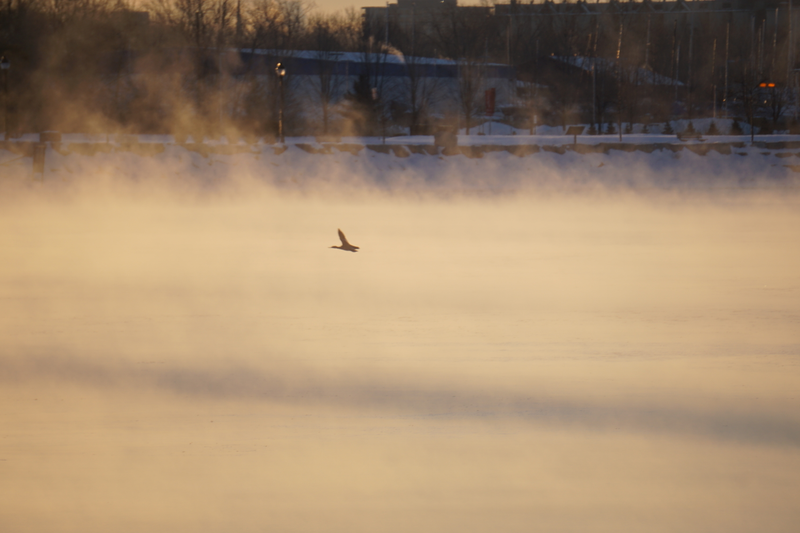 Illustration for article titled The freezing weather makes for great sunrises.